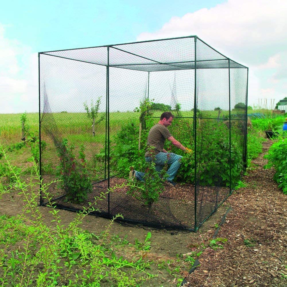 Heavy Duty Black Anti Bird Net - đánh giá và giá Outdoor Sports Net